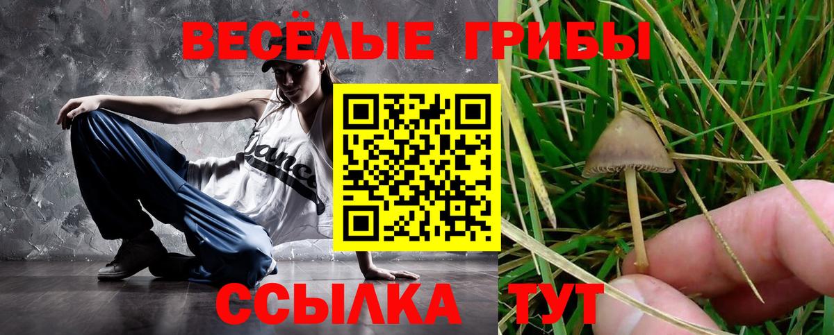 Горячий Ключ  где найти   Вход с VPN  Галлюциногенные грибы мицелий 