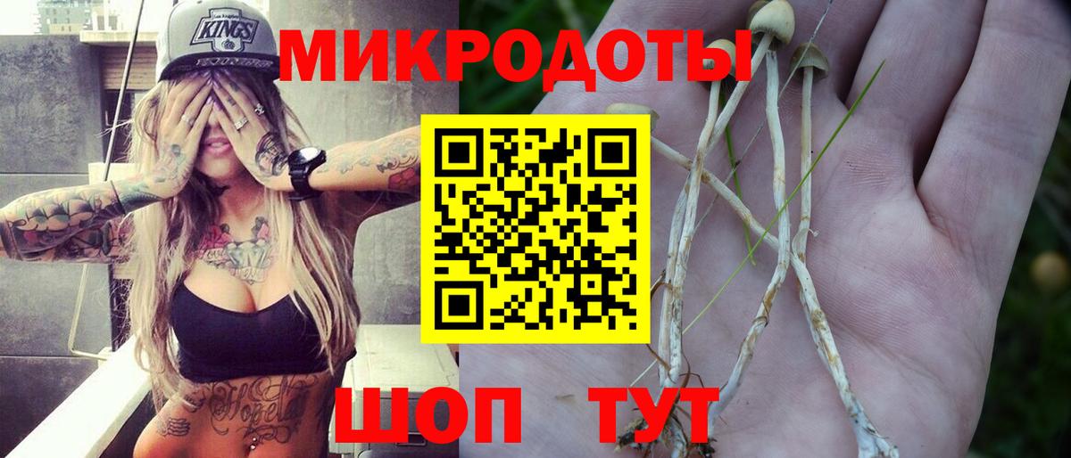 Псилоцибиновые грибы прущие грибы Горячий Ключ